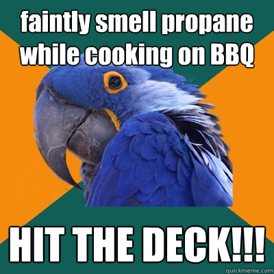 faintly smell propane while cooking on BBQ HIT THE DECK!!!  Paranoid Parrot