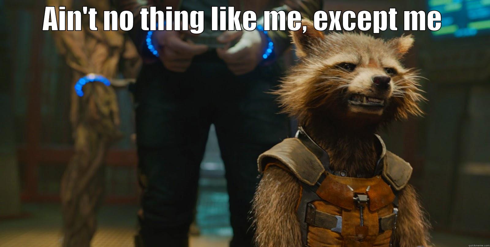 AIN'T NO THING LIKE ME, EXCEPT ME  Misc