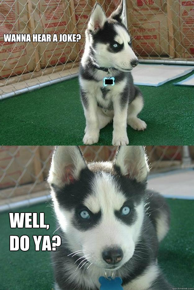Wanna hear a joke? WEll,
do ya?  Insanity puppy