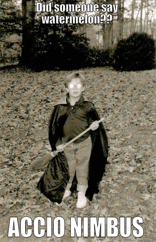 DID SOMEONE SAY WATERMELON?? ACCIO NIMBUS Misc