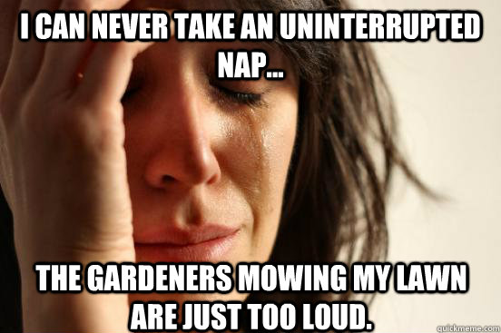 I can never take an uninterrupted nap... the gardeners mowing my lawn are just too loud.  First World Problems