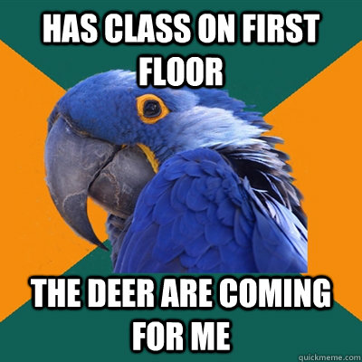 Has class on first floor the deer are coming for me  Paranoid Parrot