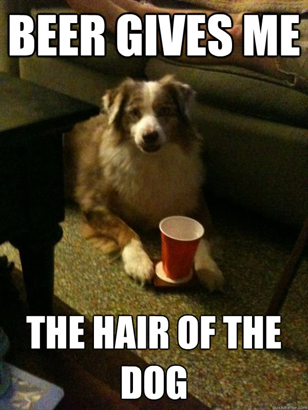 Beer gives me The hair of the dog  