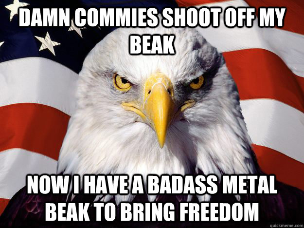 Damn Commies shoot off my beak Now i have a badass metal beak to bring freedom - Damn Commies shoot off my beak Now i have a badass metal beak to bring freedom  Good Guy Bald Eagle