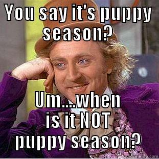 YOU SAY IT'S PUPPY SEASON? UM....WHEN IS IT NOT PUPPY SEASON? Condescending Wonka