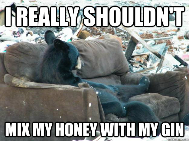 i really shouldn't mix my honey with my gin  