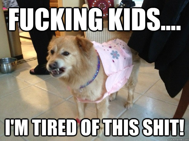 Fucking Kids.... I'm tired of this shit! - Fucking Kids.... I'm tired of this shit!  Annoyed Dog