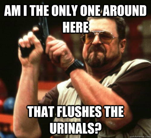 Am i the only one around here That flushes the urinals? - Am i the only one around here That flushes the urinals?  Am I The Only One Around Here