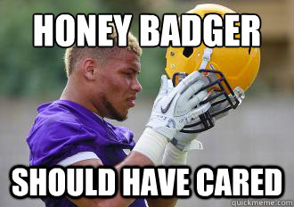 Honey Badger Should have cared  Honey Badger