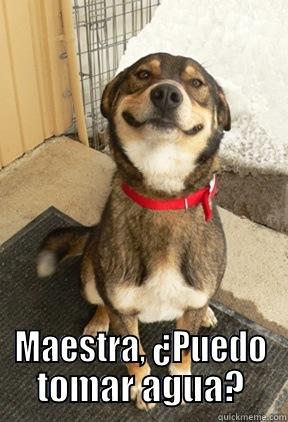  MAESTRA, ¿PUEDO TOMAR AGUA? Good Dog Greg