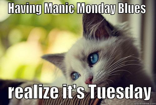 Monday blues - HAVING MANIC MONDAY BLUES    REALIZE IT'S TUESDAY First World Problems Cat