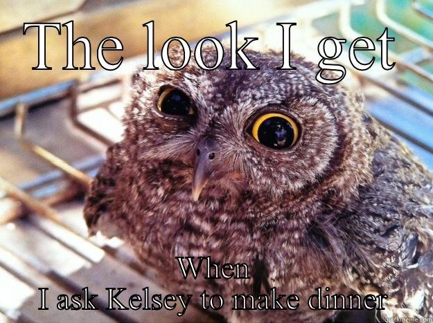 THE LOOK I GET WHEN I ASK KELSEY TO MAKE DINNER Skeptical Owl