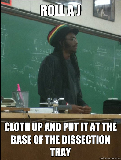 Roll a J cloth up and put it at the base of the dissection tray  Rasta Science Teacher