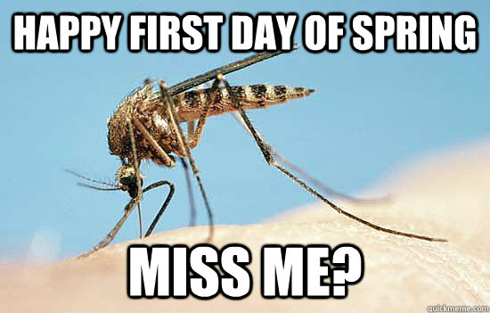 happy first day of spring miss me? - happy first day of spring miss me?  Misc