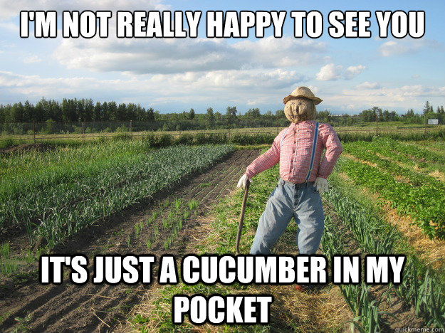 I'm not really happy to see you it's just a cucumber in my pocket  Scarecrow