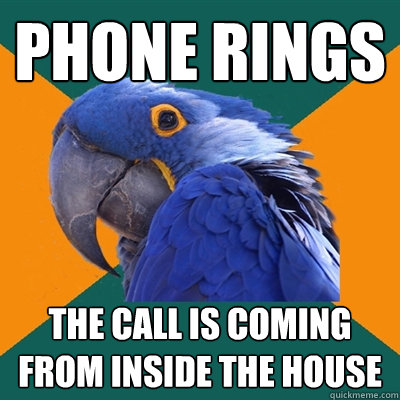 PHONE RINGS THE CALL IS COMING FROM INSIDE THE HOUSE  Paranoid Parrot