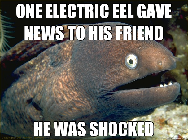 ONE ELECTRIC EEL GAVE NEWS TO HIS FRIEND HE WAS SHOCKED  Bad Joke Eel
