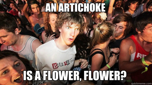 An artichoke
 is a FLOWER, flower?  Sudden Clarity Clarence