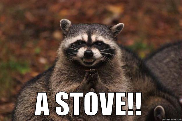  A STOVE!! Evil Plotting Raccoon