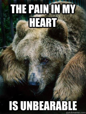 The pain in my heart is unbearable  Sad Bear