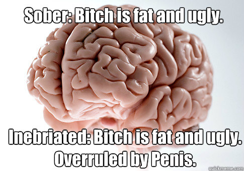 Sober: Bitch is fat and ugly. 

  Inebriated: Bitch is fat and ugly. 
Overruled by Penis.  Scumbag Brain