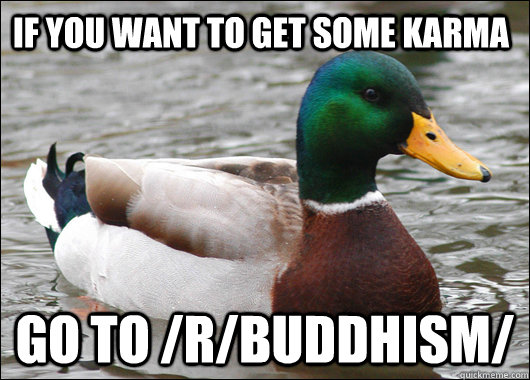 If you want to get some karma Go to /r/Buddhism/ - If you want to get some karma Go to /r/Buddhism/  Actual Advice Mallard