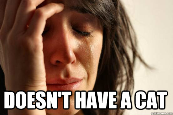  Doesn't have a cat  First World Problems