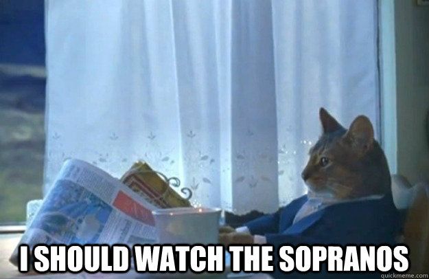  I should watch the sopranos -  I should watch the sopranos  Sophisticated Cat