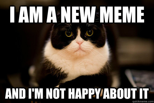I am a new meme And I'm not happy about it - I am a new meme And I'm not happy about it  Misc
