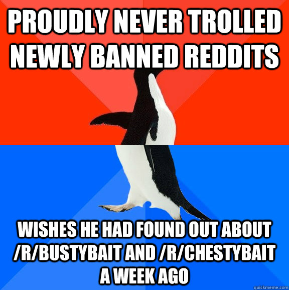 proudly Never trolled newly banned reddits wishes he had found out about /r/bustybait and /r/chestybait   a week ago  Socially Awesome Awkward Penguin