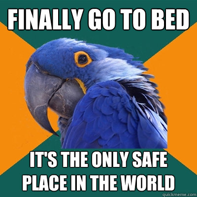 finally go to bed it's the only safe place in the world  Paranoid Parrot