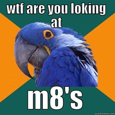WTF ARE YOU LOKING AT M8'S Paranoid Parrot