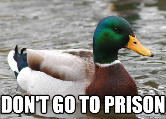  Don't Go to prison  Actual Advice Mallard