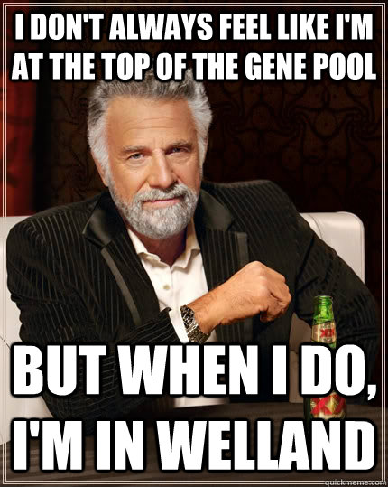 I don't always feel like I'm at the top of the gene pool But when I do, I'm in Welland   The Most Interesting Man In The World