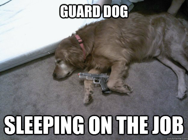 Guard Dog  Sleeping on the job  Lazy Dog