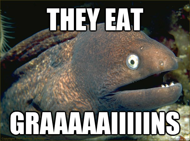 They eat Graaaaaiiiiins  Bad Joke Eel