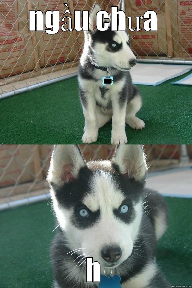 NGẦU CHƯA H Insanity puppy