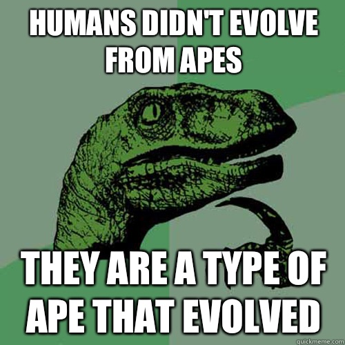 Humans didn't evolve from apes They are a type of ape that evolved  Philosoraptor