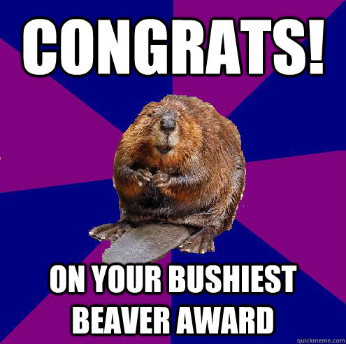 Congrats! On your bushiest beaver award  