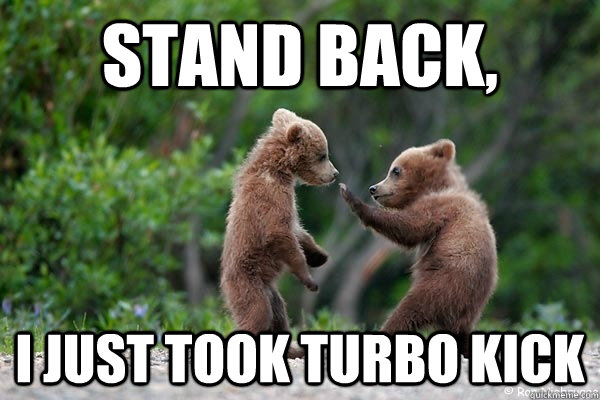 Stand back, I just took Turbo Kick - Stand back, I just took Turbo Kick  Karate Bear