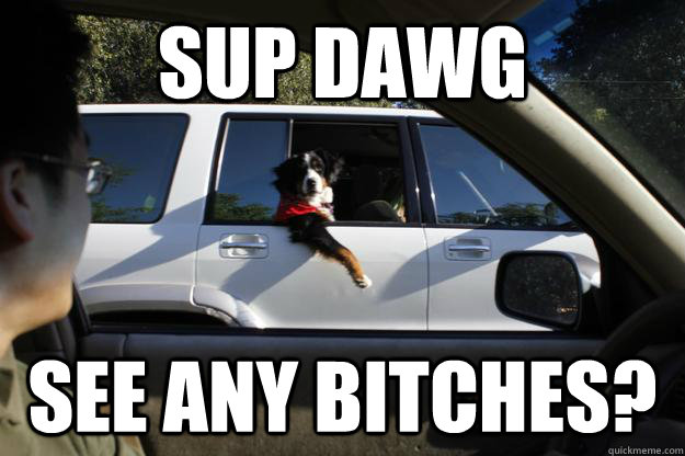 Sup Dawg See any bitches? - Sup Dawg See any bitches?  SupDawg