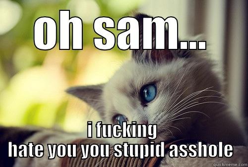 OH SAM... I FUCKING HATE YOU YOU STUPID ASSHOLE  First World Problems Cat