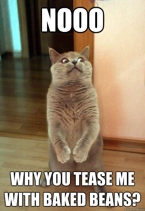 NOOO WHY YOU TEASE ME WITH BAKED BEANS?  Horrorcat