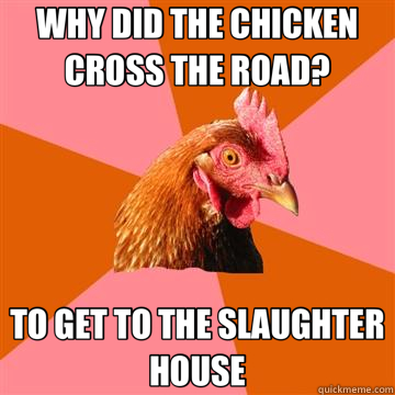 WHY DID THE CHICKEN CROSS THE ROAD? TO GET TO THE SLAUGHTER HOUSE  Anti-Joke Chicken