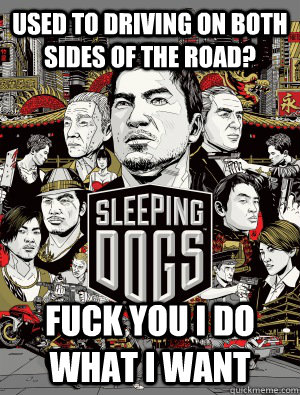 used to driving on both sides of the road? FUCK YOU I DO WHAT I WANT - used to driving on both sides of the road? FUCK YOU I DO WHAT I WANT  sleeping dogs