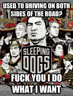 used to driving on both sides of the road? FUCK YOU I DO WHAT I WANT  sleeping dogs