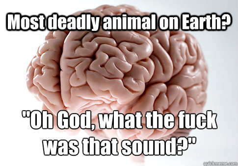 Most deadly animal on Earth? 