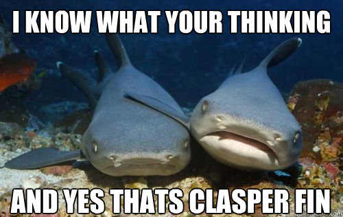 I know what your thinking And yes thats clasper fin  Compassionate Shark Friend