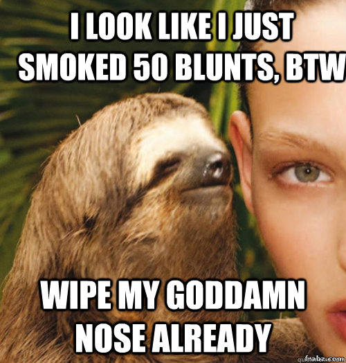 I look like i just smoked 50 blunts, btw Wipe my goddamn nose already  rape sloth