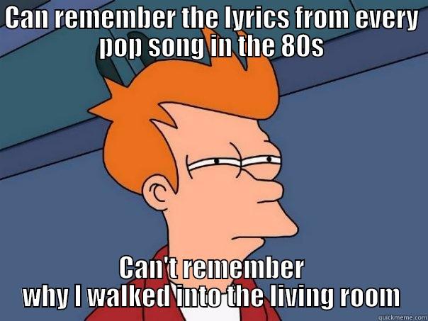 CAN REMEMBER THE LYRICS FROM EVERY POP SONG IN THE 80S CAN'T REMEMBER WHY I WALKED INTO THE LIVING ROOM Futurama Fry